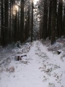 11.27.05 Nesmith Point 082 